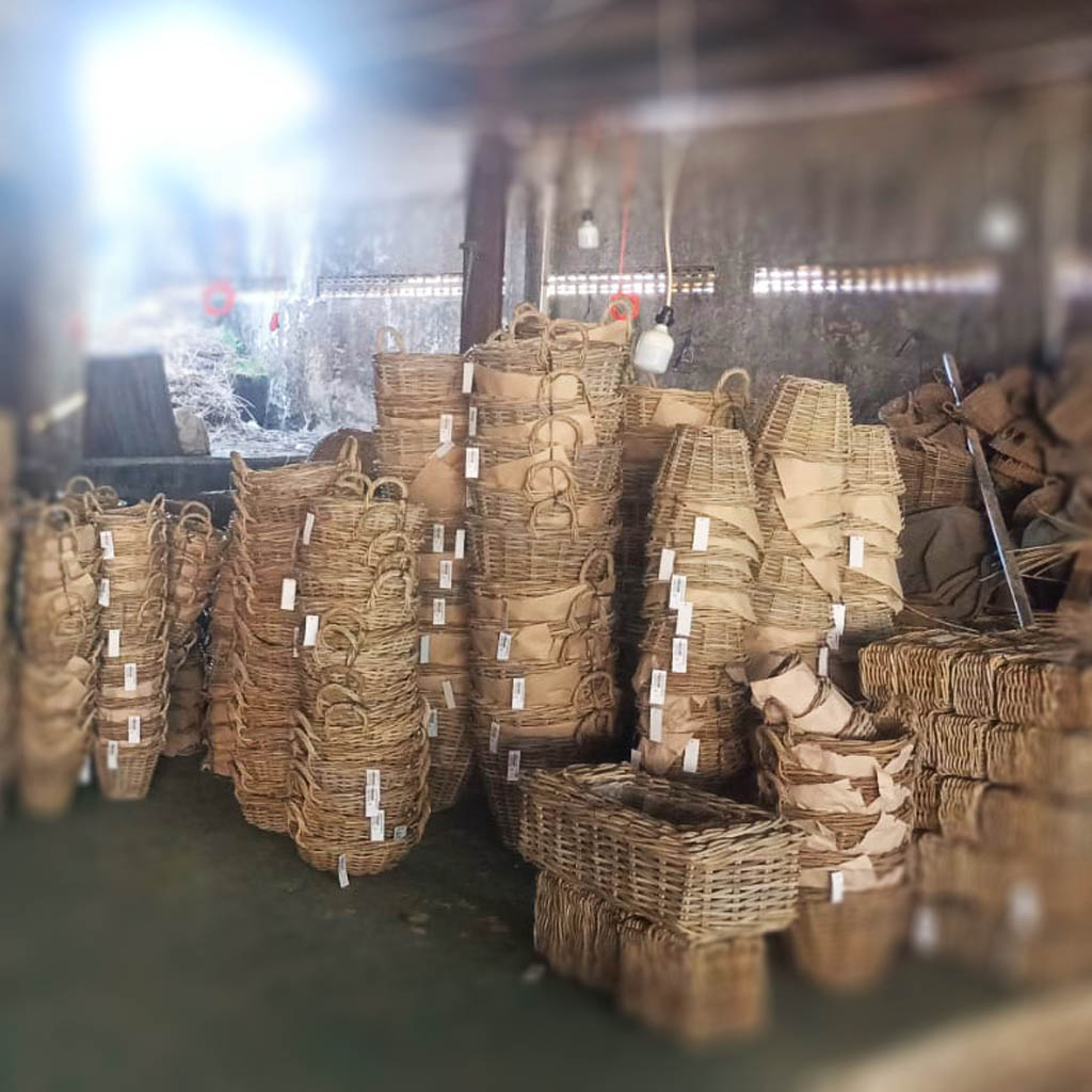 Rattan basket production (1)